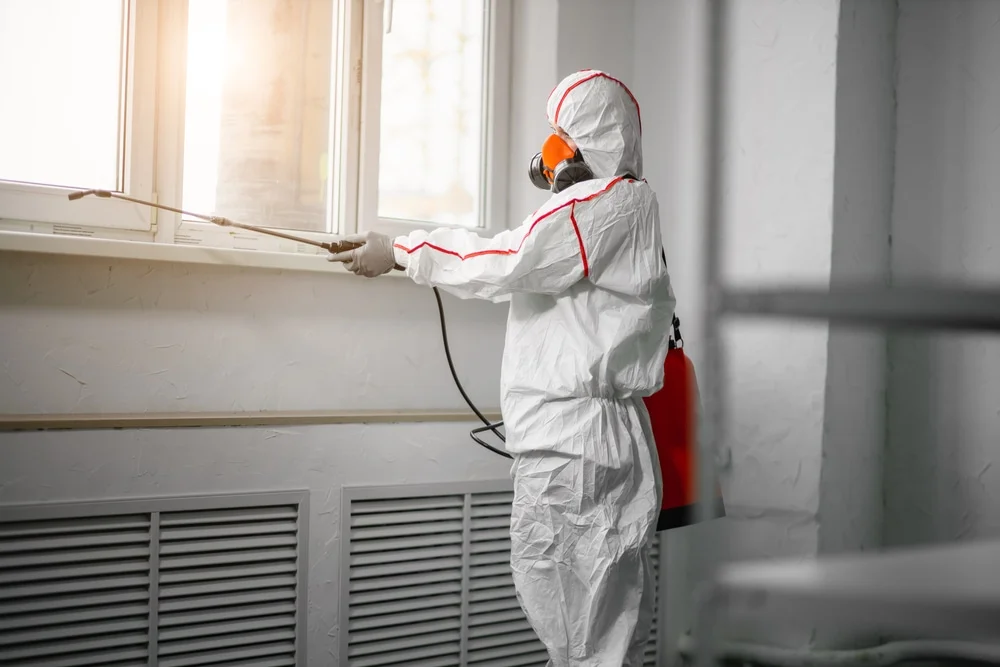 Professional mold remediation services in Weeping Water, NE